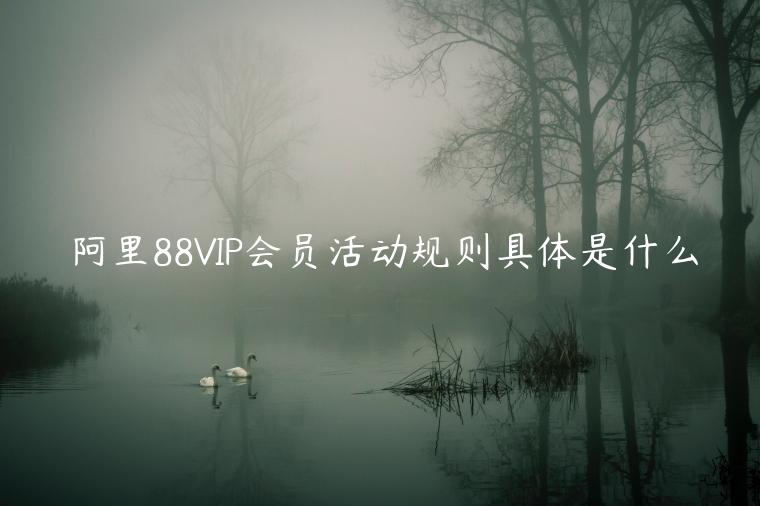 阿里88VIP會員活動規(guī)則具體是什么